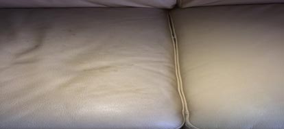 Leather Couch