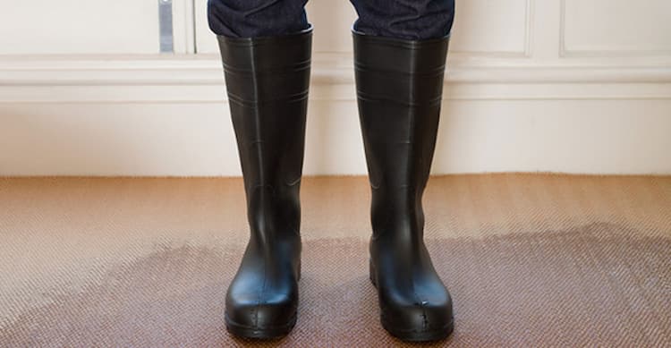 Cleaner in Wellington Boots