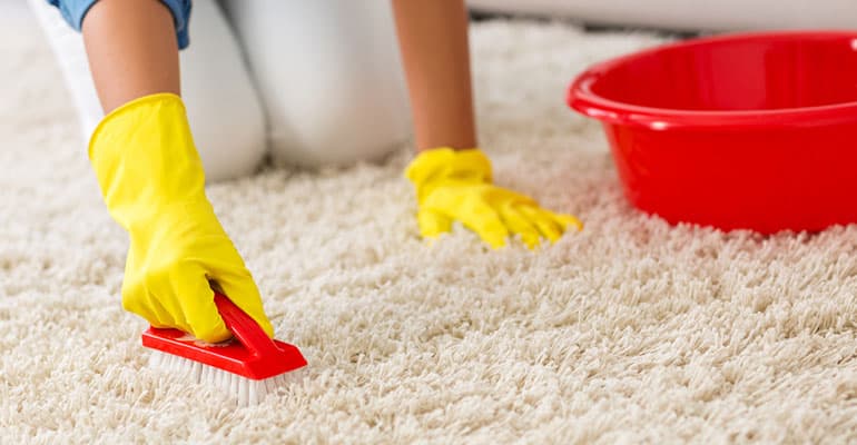 Close up of woman cleaning carpet