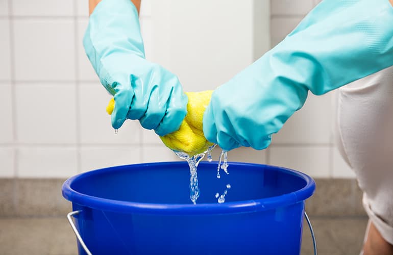 Sponge wringed into bucket