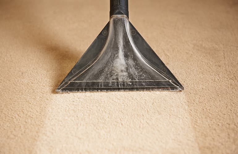 Vaccuming Carpet